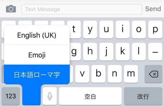 iOS-Globe-icon-language