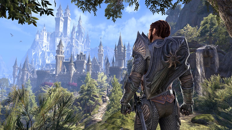 Elder Scrolls Online release day hit by connection problems and server  timeouts, The Independent