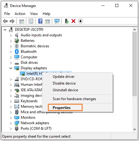 Go to Properties for Display adapters