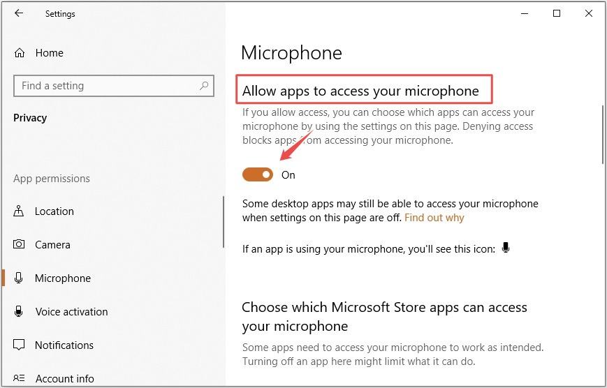 Adjust Microphone Privacy Settings (3)