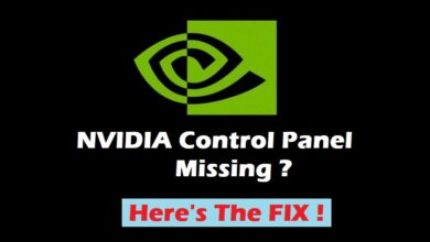 How to fix Nvidia Control Panel missing in Windows 10