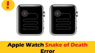 Fix Apple Watch Green Snake of Death error