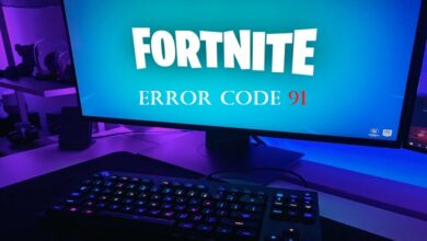 How to fix Fortnite Error Code 91