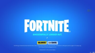 How to fix Fortnite Successfully Logged Out error