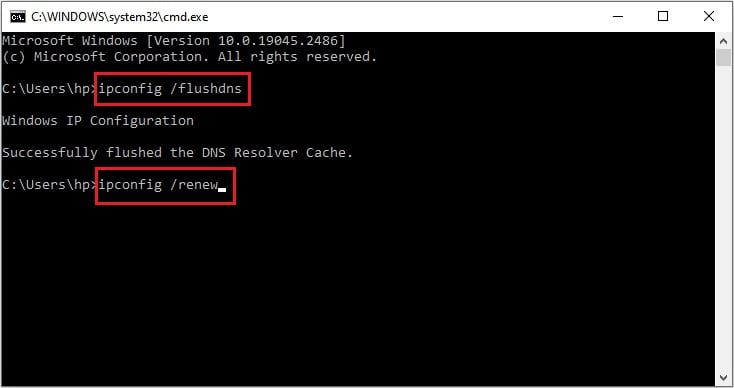 Flush DNS and renew IP